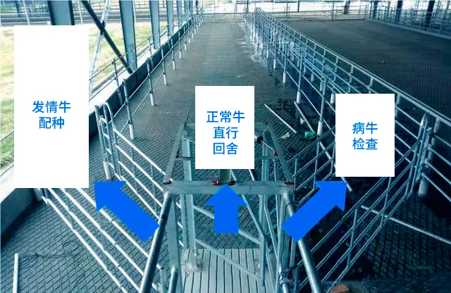 智能分群门系统